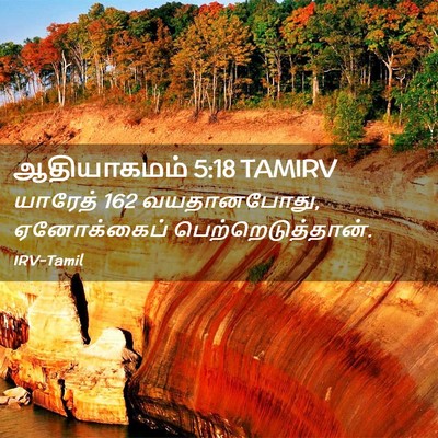 Picture 02 - ஆதியாகமம் 5:18 TAMIRV - யாரேத் 162 - Bible Verse Picture