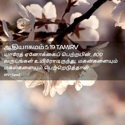 Picture 02 - ஆதியாகமம் 5:19 TAMIRV - யாரேத் ஏனோக்கைப் - Bible Verse Picture