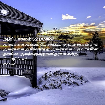 Picture 02 - ஆதியாகமம் 5:2 TAMIRV - அவர்களை ஆணும் - Bible Verse Picture