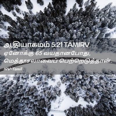 Picture 02 - ஆதியாகமம் 5:21 TAMIRV - ஏனோக்கு 65 - Bible Verse Picture