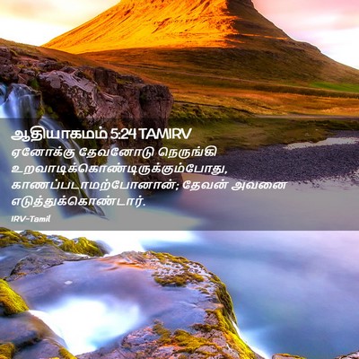 Picture 02 - ஆதியாகமம் 5:24 TAMIRV - ஏனோக்கு தேவனோடு - Bible Verse Picture