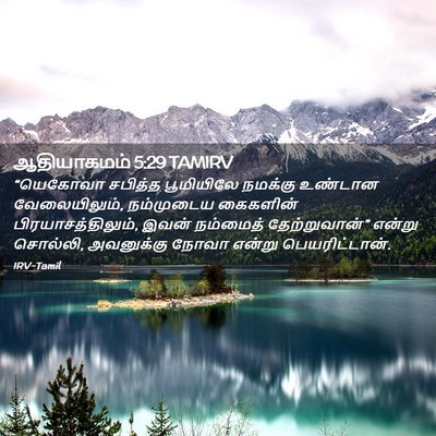 Picture 02 - ஆதியாகமம் 5:29 TAMIRV - “யெகோவா சபித்த - Bible Verse Picture