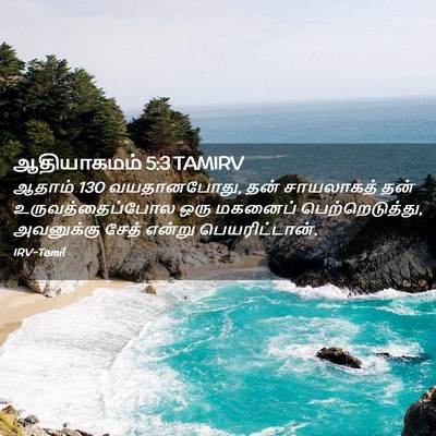 Picture 02 - ஆதியாகமம் 5:3 TAMIRV - ஆதாம் 130 வயதானபோது, - Bible Verse Picture