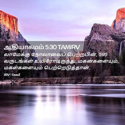 Picture 02 - ஆதியாகமம் 5:30 TAMIRV - லாமேக்கு நோவாவைப் - Bible Verse Picture