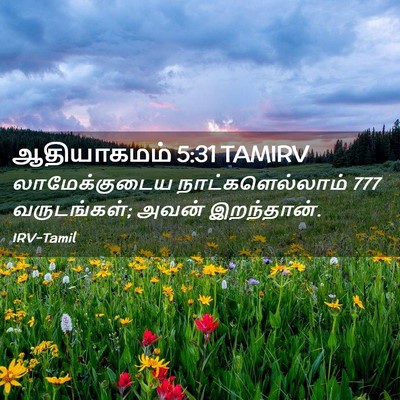 Picture 02 - ஆதியாகமம் 5:31 TAMIRV - லாமேக்குடைய - Bible Verse Picture