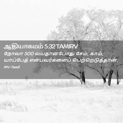 Picture 02 - ஆதியாகமம் 5:32 TAMIRV - நோவா 500 வயதானபோது - Bible Verse Picture