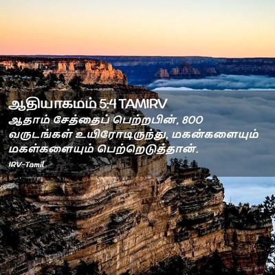 Picture 02 - ஆதியாகமம் 5:4 TAMIRV - ஆதாம் சேத்தைப் - Bible Verse Picture