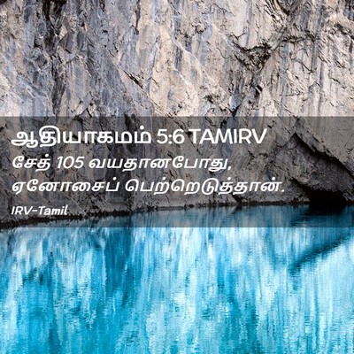 Picture 02 - ஆதியாகமம் 5:6 TAMIRV - சேத் 105 வயதானபோது, - Bible Verse Picture