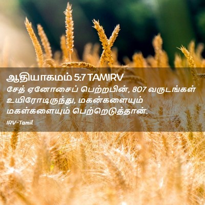 Picture 02 - ஆதியாகமம் 5:7 TAMIRV - சேத் ஏனோசைப் - Bible Verse Picture
