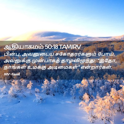 Picture 02 - ஆதியாகமம் 50:18 TAMIRV - பின்பு, அவனுடைய - Bible Verse Picture