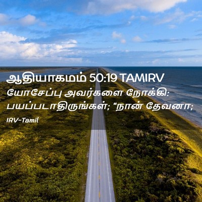 Picture 02 - ஆதியாகமம் 50:19 TAMIRV - யோசேப்பு அவர்களை - Bible Verse Picture