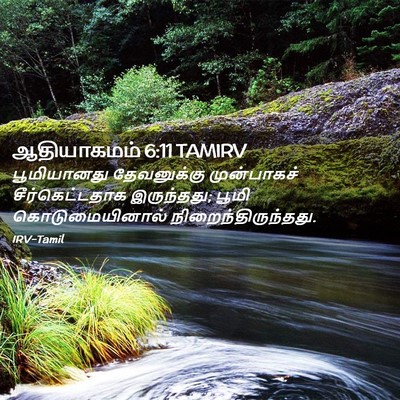 Picture 02 - ஆதியாகமம் 6:11 TAMIRV - பூமியானது - Bible Verse Picture