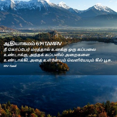 Picture 02 - ஆதியாகமம் 6:14 TAMIRV - நீ கொப்பேர் - Bible Verse Picture