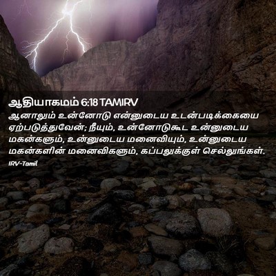 Picture 02 - ஆதியாகமம் 6:18 TAMIRV - ஆனாலும் உன்னோடு - Bible Verse Picture