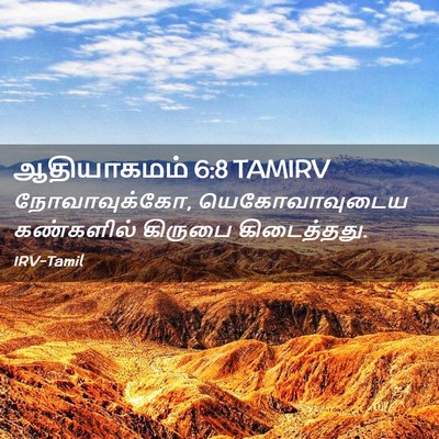 Picture 02 - ஆதியாகமம் 6:8 TAMIRV - நோவாவுக்கோ, - Bible Verse Picture