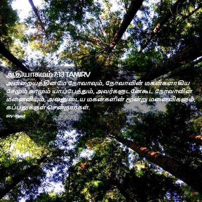 Picture 02 - ஆதியாகமம் 7:13 TAMIRV - அன்றையத்தினமே - Bible Verse Picture