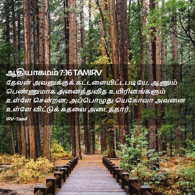 Picture 02 - ஆதியாகமம் 7:16 TAMIRV - தேவன் அவனுக்குக் - Bible Verse Picture