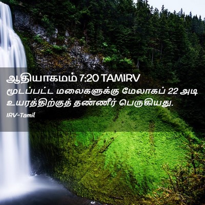 Picture 02 - ஆதியாகமம் 7:20 TAMIRV - மூடப்பட்ட - Bible Verse Picture