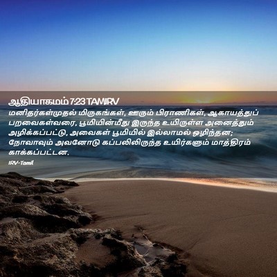 Picture 02 - ஆதியாகமம் 7:23 TAMIRV - மனிதர்கள்முதல் - Bible Verse Picture