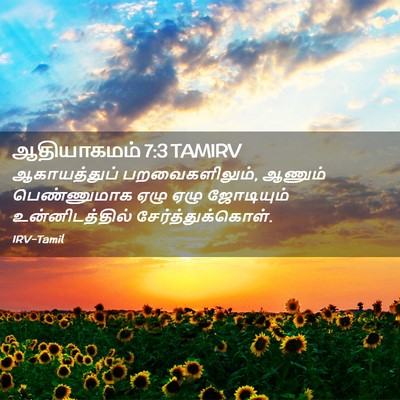 Picture 02 - ஆதியாகமம் 7:3 TAMIRV - ஆகாயத்துப் - Bible Verse Picture