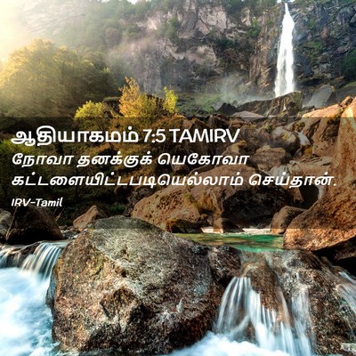 Picture 02 - ஆதியாகமம் 7:5 TAMIRV - நோவா தனக்குக் - Bible Verse Picture