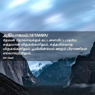 Picture 02 - ஆதியாகமம் 7:8 TAMIRV - தேவன் - Bible Verse Picture