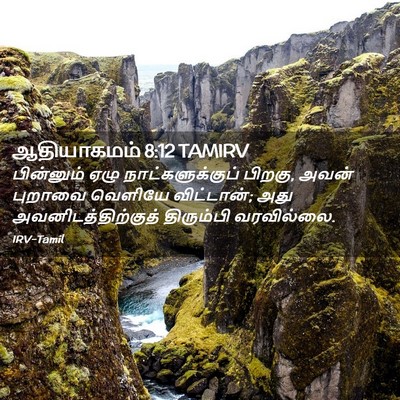 Picture 02 - ஆதியாகமம் 8:12 TAMIRV - பின்னும் ஏழு - Bible Verse Picture