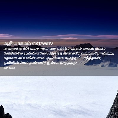 Picture 02 - ஆதியாகமம் 8:13 TAMIRV - அவனுக்கு 601 - Bible Verse Picture