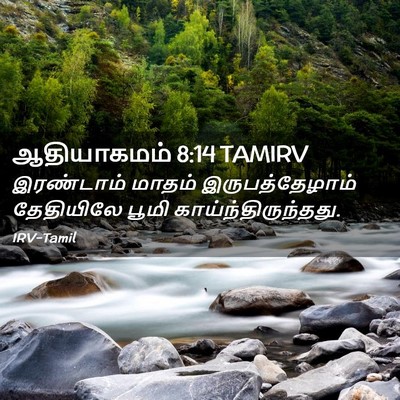 Picture 02 - ஆதியாகமம் 8:14 TAMIRV - இரண்டாம் மாதம் - Bible Verse Picture