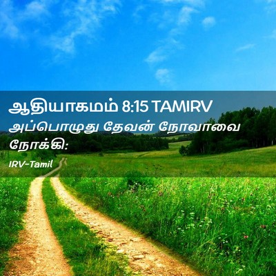 Picture 02 - ஆதியாகமம் 8:15 TAMIRV - அப்பொழுது தேவன் - Bible Verse Picture