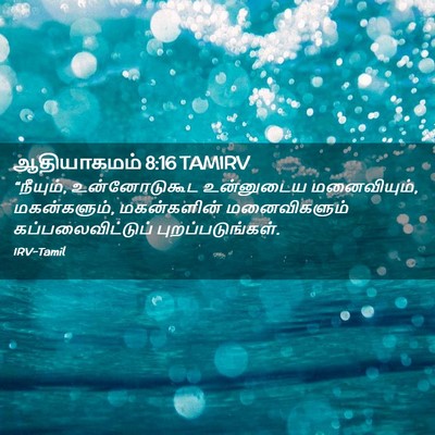 Picture 02 - ஆதியாகமம் 8:16 TAMIRV - “நீயும், - Bible Verse Picture