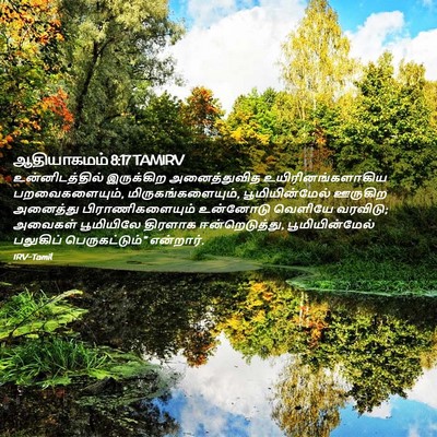 Picture 02 - ஆதியாகமம் 8:17 TAMIRV - உன்னிடத்தில் - Bible Verse Picture