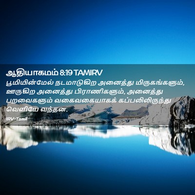 Picture 02 - ஆதியாகமம் 8:19 TAMIRV - பூமியின்மேல் - Bible Verse Picture