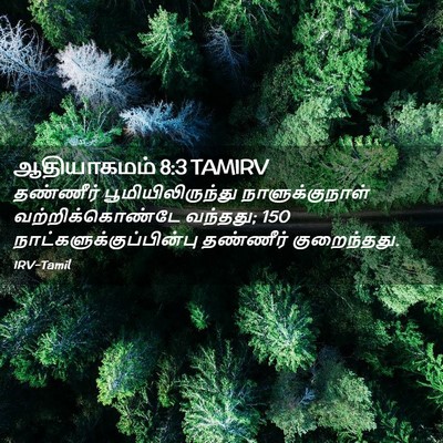 Picture 02 - ஆதியாகமம் 8:3 TAMIRV - தண்ணீர் - Bible Verse Picture
