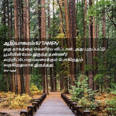 Picture 02 - ஆதியாகமம் 8:7 TAMIRV - ஒரு காகத்தை - Bible Verse Picture