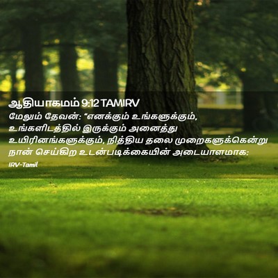 Picture 02 - ஆதியாகமம் 9:12 TAMIRV - மேலும் தேவன்: - Bible Verse Picture