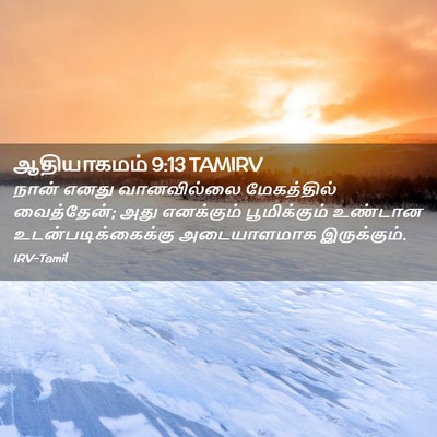 Picture 02 - ஆதியாகமம் 9:13 TAMIRV - நான் எனது - Bible Verse Picture