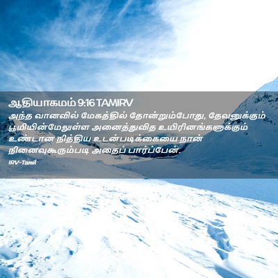 Picture 02 - ஆதியாகமம் 9:16 TAMIRV - அந்த வானவில் - Bible Verse Picture