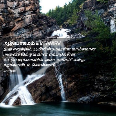 Picture 02 - ஆதியாகமம் 9:17 TAMIRV - இது எனக்கும், - Bible Verse Picture