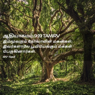 Picture 02 - ஆதியாகமம் 9:19 TAMIRV - இம்மூவரும் - Bible Verse Picture
