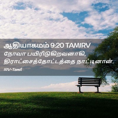 Picture 02 - ஆதியாகமம் 9:20 TAMIRV - நோவா - Bible Verse Picture