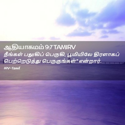Picture 02 - ஆதியாகமம் 9:7 TAMIRV - நீங்கள் பலுகிப் - Bible Verse Picture
