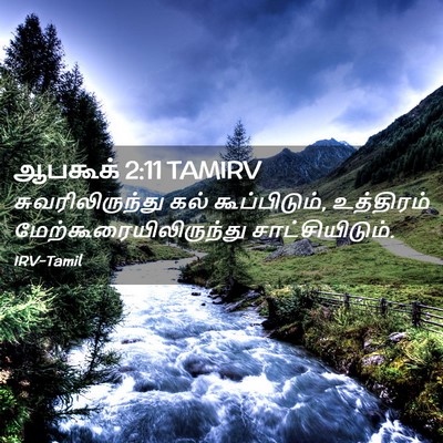 Picture 02 - ஆபகூக் 2:11 TAMIRV - சுவரிலிருந்து கல் - Bible Verse Picture