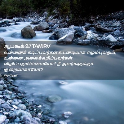 Picture 02 - ஆபகூக் 2:7 TAMIRV - உன்னைக் - Bible Verse Picture