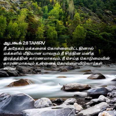 Picture 02 - ஆபகூக் 2:8 TAMIRV - நீ அநேகம் - Bible Verse Picture