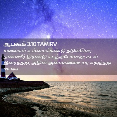 Picture 02 - ஆபகூக் 3:10 TAMIRV - மலைகள் - Bible Verse Picture