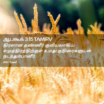 Picture 02 - ஆபகூக் 3:15 TAMIRV - திரளான தண்ணீர் - Bible Verse Picture