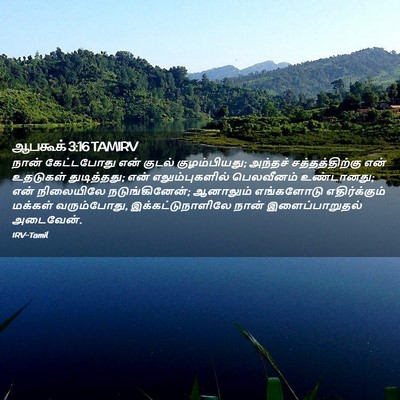 Picture 02 - ஆபகூக் 3:16 TAMIRV - நான் கேட்டபோது - Bible Verse Picture