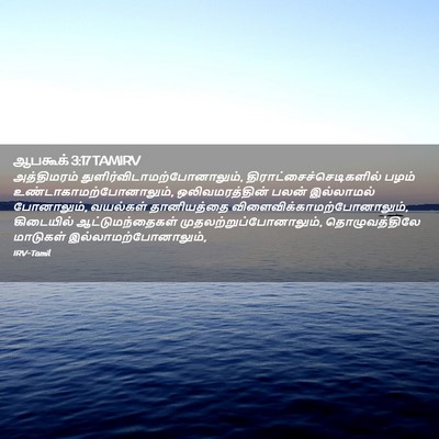 Picture 02 - ஆபகூக் 3:17 TAMIRV - அத்திமரம் - Bible Verse Picture