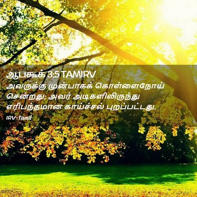 Picture 02 - ஆபகூக் 3:5 TAMIRV - அவருக்கு - Bible Verse Picture